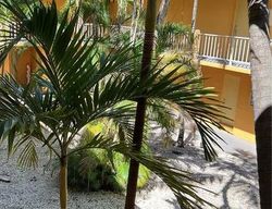 Foreclosure Listing in NW 68TH AVE APT B202 HIALEAH, FL 33015