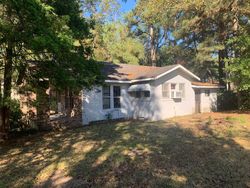 Foreclosure Listing in PINE ST SUMRALL, MS 39482