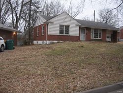 Foreclosure in  HOPEDALE DR Saint Louis, MO 63137