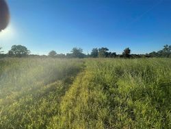 Foreclosure in  FM 442 RD Boling, TX 77420
