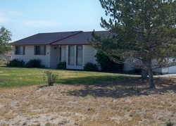 Foreclosure in  FLORA DR Spring Creek, NV 89815