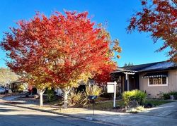 Foreclosure in  FISTOR DR Santa Rosa, CA 95409