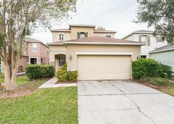 Foreclosure in  PEPPERVINE PL Wesley Chapel, FL 33544