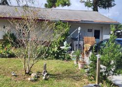 Foreclosure in  SABAL PALM DR Edgewater, FL 32141