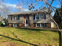 Foreclosure in  ROUTE 22 Dover Plains, NY 12522