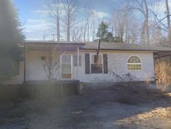 Foreclosure in  BOLD SPRINGS RD Mc Ewen, TN 37101