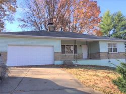 Foreclosure in  NE 39TH TER Kansas City, MO 64116