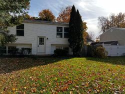 Foreclosure Listing in PEACH BLOSSOM RD S HILTON, NY 14468
