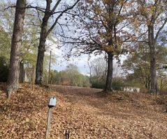 Foreclosure Listing in HAMBURG RD MICHIE, TN 38357