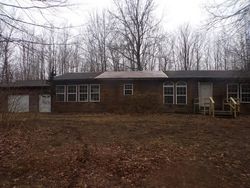 Foreclosure in  S IVA RD Saint Charles, MI 48655