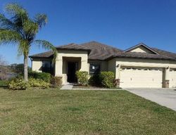 Foreclosure in  SEBAGO DR Lakeland, FL 33805