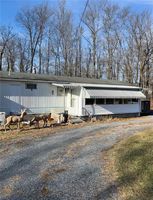 Foreclosure Listing in DELPS RD DANIELSVILLE, PA 18038