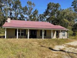 Foreclosure in  E IOWA AVE Hammond, LA 70403