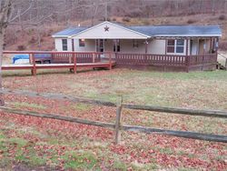 Foreclosure in  PATTERSON RUN RD Waynesburg, PA 15370