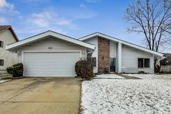 Foreclosure in  HIALEAH LN Hanover Park, IL 60133