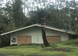 Foreclosure in  HAPUU RD Pahoa, HI 96778