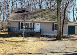 Foreclosure in  MESSERLE CT Bushkill, PA 18324