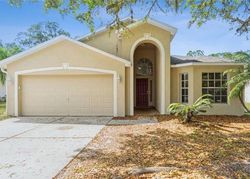 Foreclosure in  OPEN PASTURE CT Wesley Chapel, FL 33545