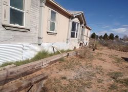 Foreclosure in  TUMBLEWEED RD Chaparral, NM 88081
