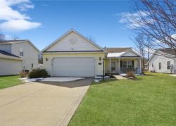 Foreclosure Listing in BEACHFRONT DR PAINESVILLE, OH 44077