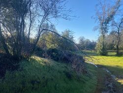 Foreclosure Listing in GRIST RD MARIPOSA, CA 95338