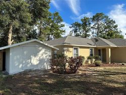 Foreclosure in  CENTRAL AVE Umatilla, FL 32784