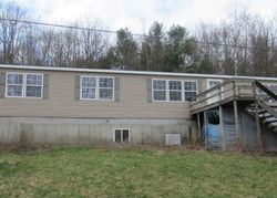 Foreclosure in  MACDOUGALL RD East Meredith, NY 13757