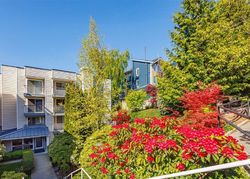 Foreclosure in  NE 95TH ST APT A309 Seattle, WA 98115