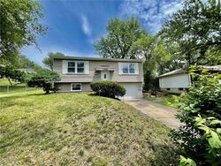 Foreclosure in  OAKLAND AVE Kansas City, MO 64138