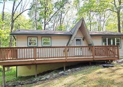 Foreclosure Listing in DEER TRL DINGMANS FERRY, PA 18328