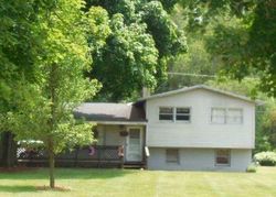 Foreclosure Listing in DIXON RD DUNDEE, MI 48131