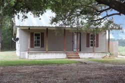 Foreclosure Listing in WILSON CAMPBELL RD VILLE PLATTE, LA 70586