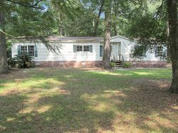 Foreclosure in  N NATURAL WELLS DR Tallahassee, FL 32305