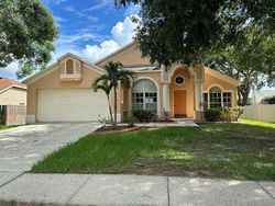 Foreclosure in  CITRUS ORCHARD WAY Valrico, FL 33594