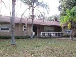  Ehrlich Rd, Tampa FL