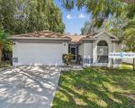 Foreclosure in  BRAMBLEBRUSH ST Tampa, FL 33624