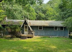 Foreclosure in  SKYVIEW RD Dingmans Ferry, PA 18328