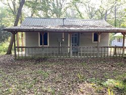 Foreclosure Listing in DAFFODIL LN MOUNT VERNON, TX 75457