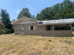 Foreclosure in  ELBERT MOZINGO RD Waynesboro, MS 39367