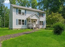 Foreclosure in  PALMER RD Chaplin, CT 06235