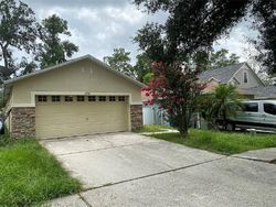 Foreclosure in  MANGO GROVES BLVD Seffner, FL 33584