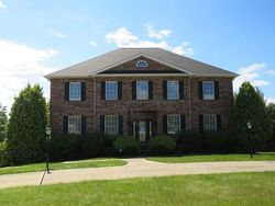 Foreclosure Listing in GOLDEN EAGLE DR VENETIA, PA 15367