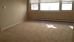 Foreclosure Listing in S LOMBARD AVE APT 205 OAK PARK, IL 60302
