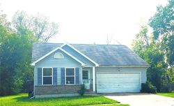 Foreclosure in  RAYMOND AVE Saint Louis, MO 63133