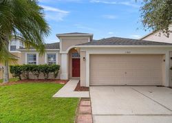 Foreclosure in  VILLAGE BROOK DR Riverview, FL 33579