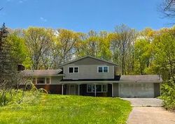 Foreclosure Listing in CRUM ELBOW RD HYDE PARK, NY 12538