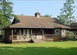 Foreclosure in  HOPE RD Waynesville, GA 31566