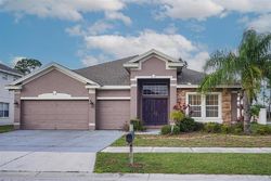 Foreclosure in  STONEWOOD GATE DR Riverview, FL 33579