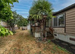 Foreclosure in  N 12TH ST Elma, WA 98541