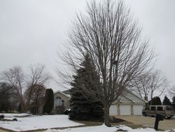 Foreclosure Listing in PATRICK CT FRANKFORT, IL 60423